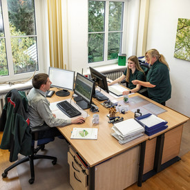 Das Bild zeigt drei Personen bei der Arbeit im Büro.