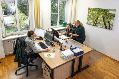 Das Bild zeigt drei Personen bei der Arbeit im Büro.