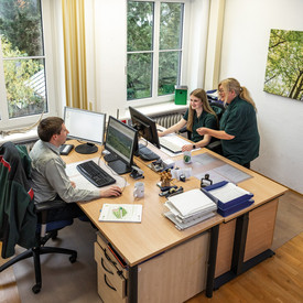 Das Bild zeigt drei Personen bei der Arbeit im Büro.