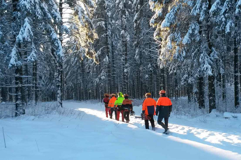 Auf dem Weg zur Waldarbeit Das Bild zeigt: Auf dem Weg zur Waldarbeit