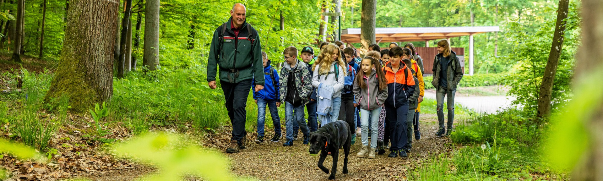 Waldpädagogik Eine Schulklasse bricht mit einem Förster in den Wald auf.