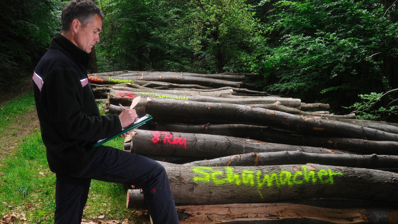 Förster bei der Brennholzaufnahme Das Bild zeigt eine Förster der Brennholz begutachtet