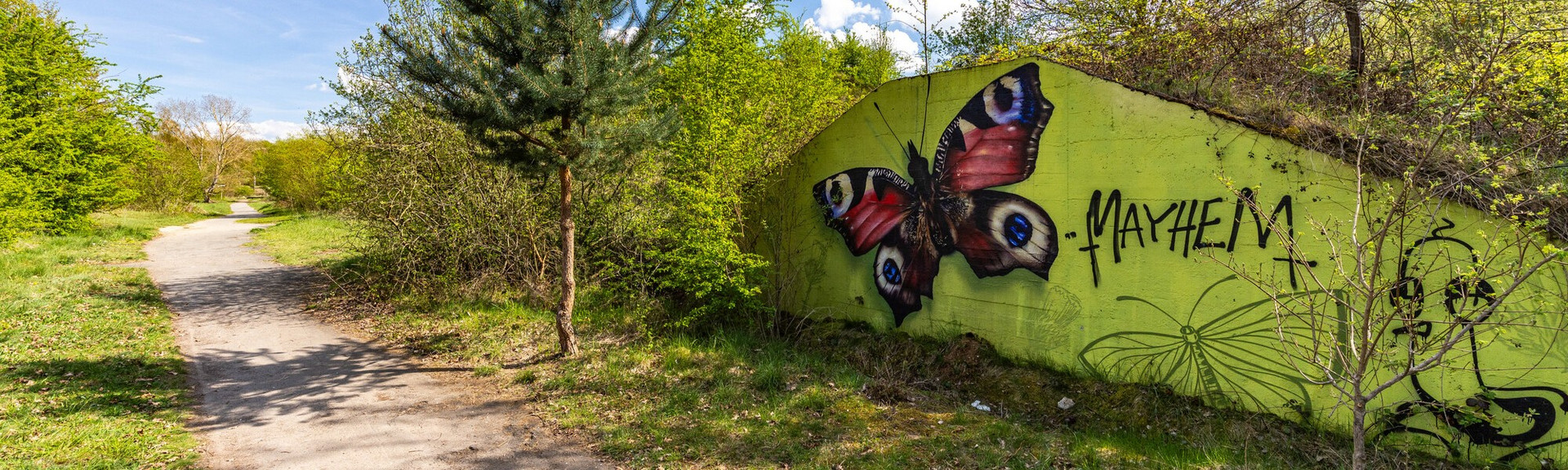 Kunst Graffiti-Kunstwerk an einer Betonwand im Ober-Olmer Wald