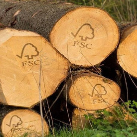 Zertifiziertes Holz