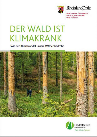 Das Bild zeigt das Deckblatt der Broschüre "Der Wald ist klimakrank". Das Titelbild zeigt einen dürregeschädigten Wald.