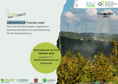 viSiOONWALD-Transfer 2026