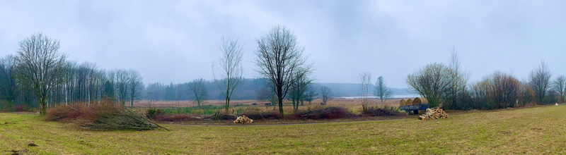 Blick auf die Landschaftshecke mit dem Dreifelder Weiher im Hintergrund