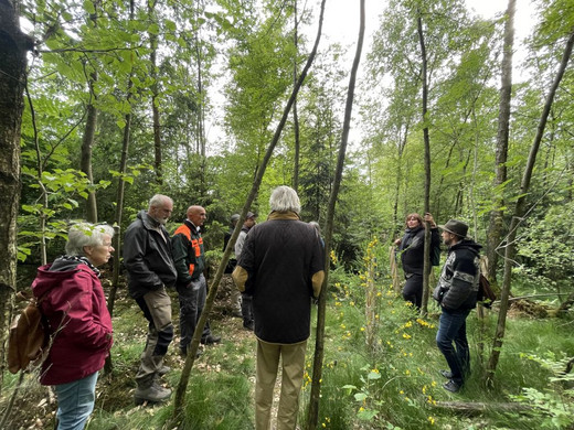 Das Bild zeigt: einige Menschen stehen im Kreis in einem jungen Wald aus Birken, Buchen und und Ebereschen unterhalten sich.