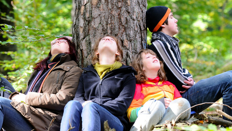 Das Bild zeigt Kinder, die sich an einen Baum lehnen und in die Baumkrone schauen