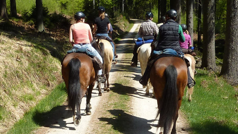 Reitergruppe unterwegs im Nationalpark Hunsrück-Hochwald