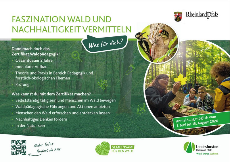 Landesforsten wirbt für die Anmeldung zum Zertifikat Waldpädagogik . Anmeldeschluss: 15.08.26