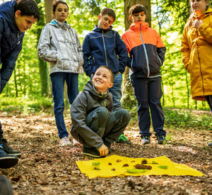 Umweltbildung Sieben Kinder im Grundschulalter bei einem Umweltbildungsprogramm im Wald