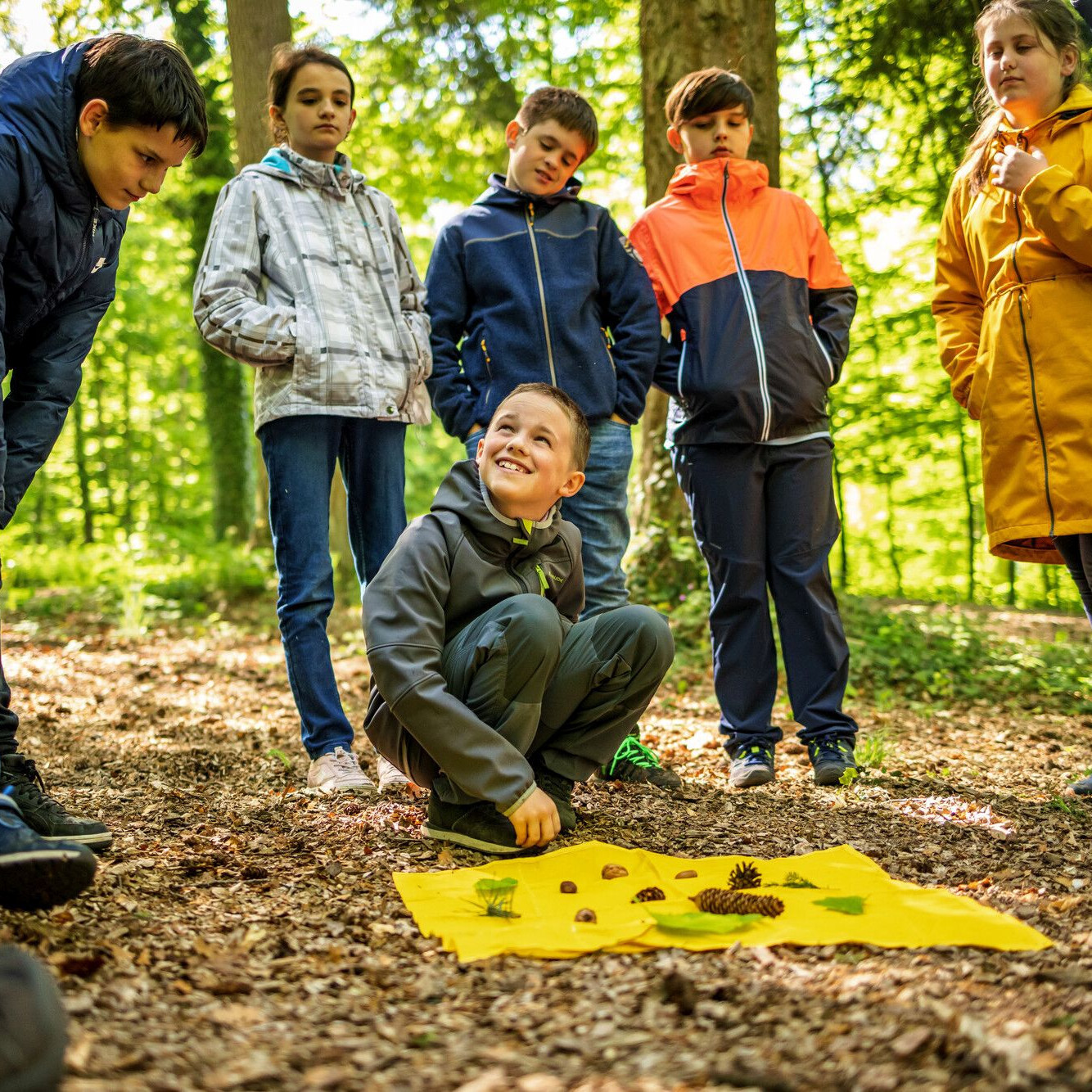 Sieben Kinder im Grundschulalter bei einem Umweltbildungsprogramm im Wald