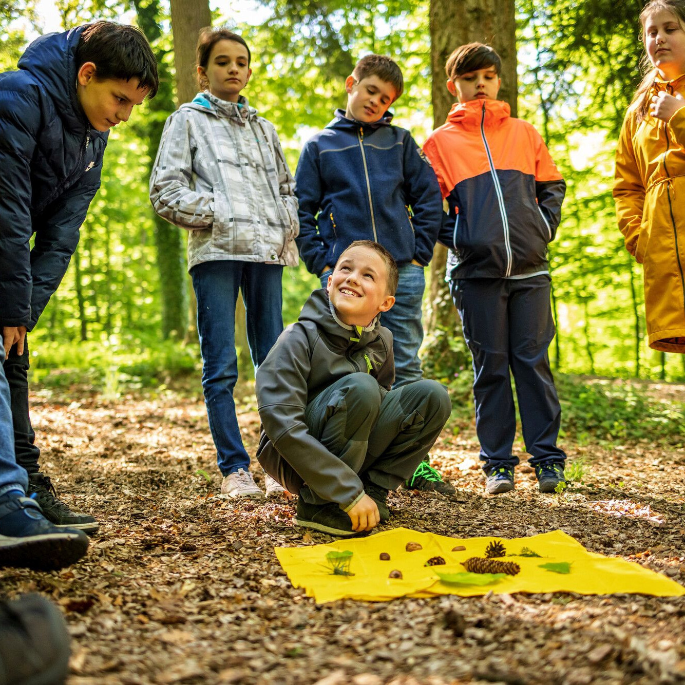 Sieben Kinder im Grundschulalter bei einem Umweltbildungsprogramm im Wald