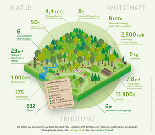 Grafik 100x100 Meter Wald neutral