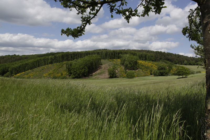 Das Bild zeigt: Das Forstamt im Mai; Flickenteppich Wald - Wiesen