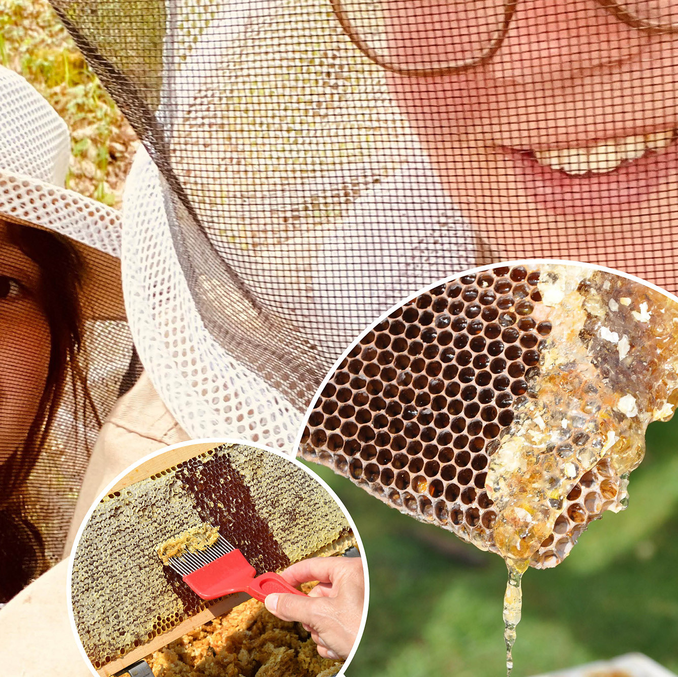 Das Bild zeigt: Fotocollage Kind beim Imkern, Honig läuft aus einer Wabe und Honig wird von einer Wabe abgeschoben