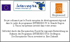 Gefördert durch den Europäischen Fonds für regionale Entwicklung im Rahmen des Programms INTERREG IVA Großregion