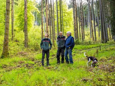 Das Foto zeigt eine Waldbegehung mit dem Förster