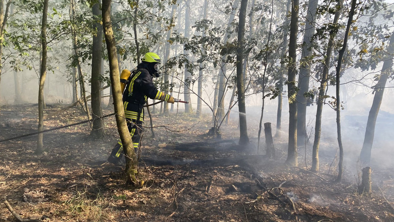Das Bild zeigt einen Feuerwehrmann, der einen Waldbrand löscht
