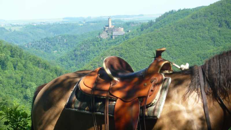 Das Bild zeigt einen Blick zur Ehrenburg über den Sattel eines Pferdes