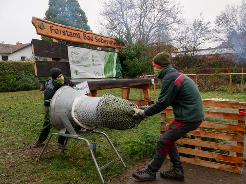 Weihnachtsbaumverkauf Forstamt Bad Sobernheim Das Bild zeigt: Weihnachtsbaumverkauf Forstamt Bad Sobernheim