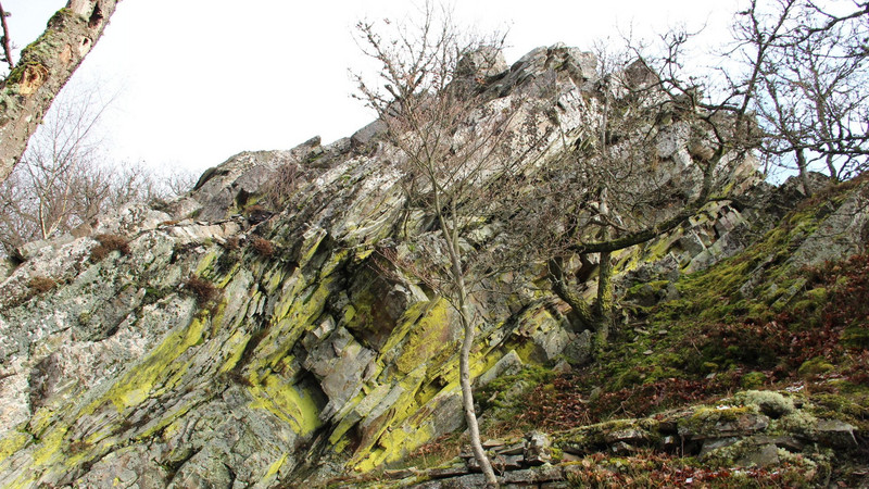 Schieferfelsen Das Bild zeigt einen Schieferfels