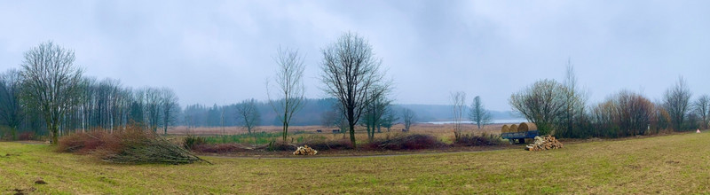 Das Bild zeigt Blick auf die Landschaftshecke mit dem Dreifelder Weiher im Hintergrund