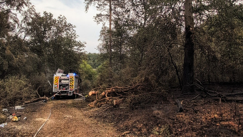 22 Hektar Waldbrand im Landkreis Birkenfeld 22 Hektar Waldbrand im Landkreis Birkenfeld