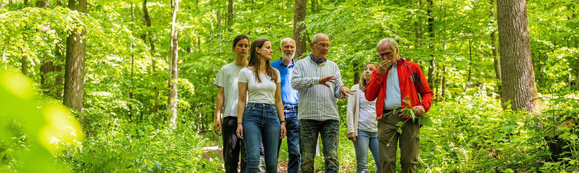 Waldführung Waldführung mit einer kleinen Gruppe von Erwachsenen im Frühlingswald