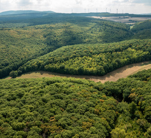 Das Bild zeigt das Vorholz aus der Vogelperspektive.