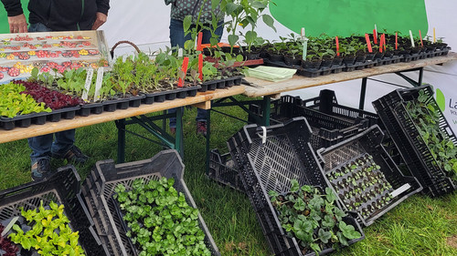 Das Bild zeigt: Stand beim Frühlingserwachen