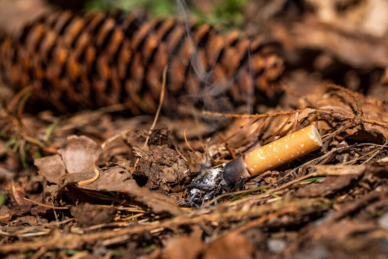 Bild einer Zigarette auf dem Waldboden