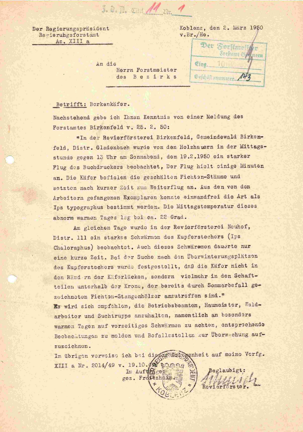 Das Bild zeigt: Schreiben des Regierungsforstamtes von 1950 zum Borkenkäferflug