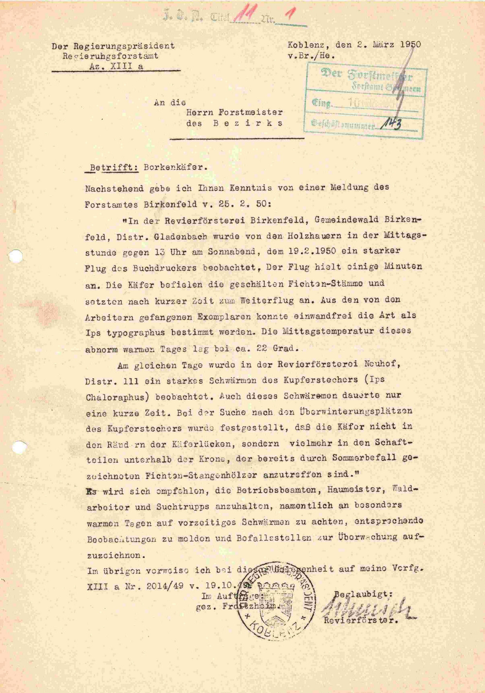 Schreiben des Regierungsforstamtes von 1950 zum Borkenkäferflug
