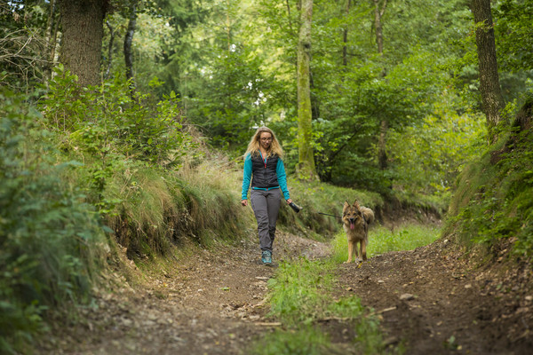 Walderholung im Sommerwald Das Bild zeigt eine Frau mit Hund beim Spaziergang durch den schattigen Laubwald