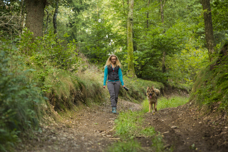 Das Bild zeigt eine Frau mit Hund beim Spaziergang durch den schattigen Laubwald