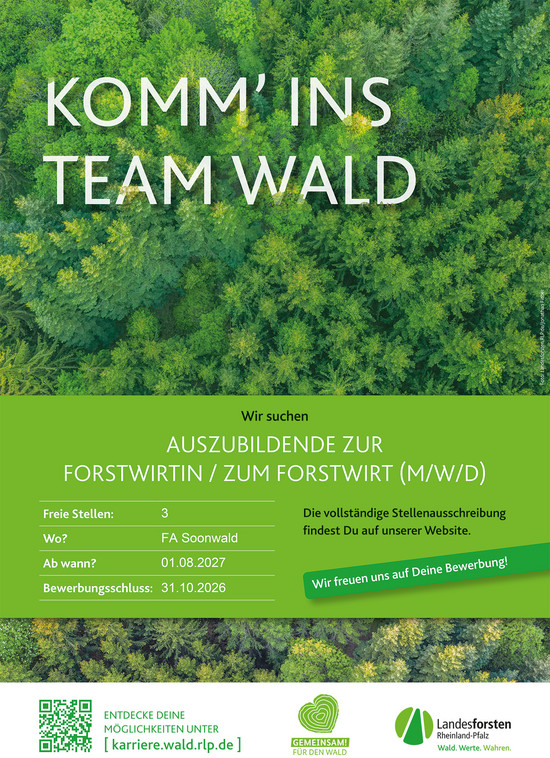 Ausbildung Das Bild zeigt: Waldbild mit Text Komm ins Team Wald