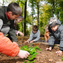 Kinder erforschen den Wald