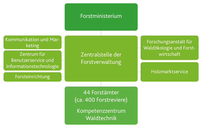 Strukturen von Landesforsten Rheinland-Pfalz Das Foto zeigt die Strukturen von Landesforsten Rheinland-Pfalz. Ganz oben steht dabei das Ministerium. Darunter die Zentralstelle der Forstverwaltung mit ihren Außenstellen Kommunikation und Marketing, dem Zentrum für Benutzerservice und Informationstechnologie, der Forsteinrichtung, der Forschungsanstalt für Waldökologie und Forstwirtschaft sowie des Holzmarktservices. An der Basis stehen die derzeit 44 Forstämter mit Ihren rund 400 Revieren und dem Kompetenzzentrum Waldtechnik.