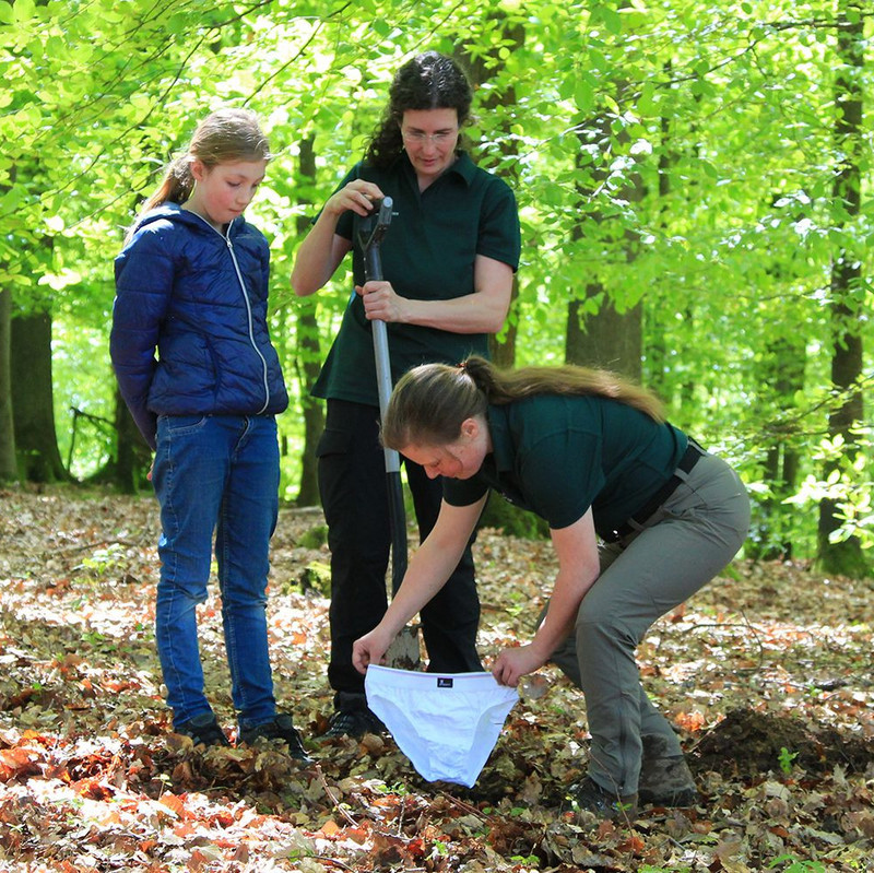 Das Bild zeigt: Mitarbeiterinnen des Waldbildungszentrums vergraben die Unterhosen im Wald.