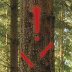 markierter Gefahrenbaum, rotes Ausrufezeichen