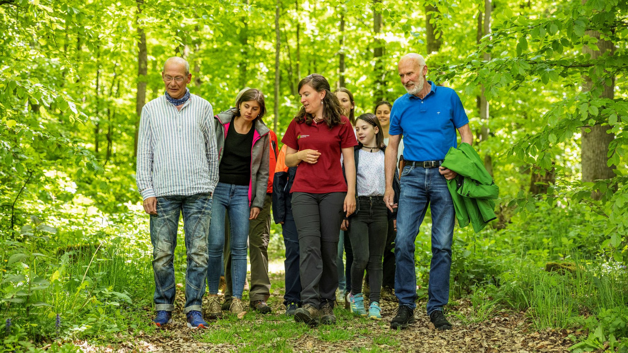 Waldspaziergang Das Bild zeigt eine Gruppe Erwachsener bei einer Waldführung.