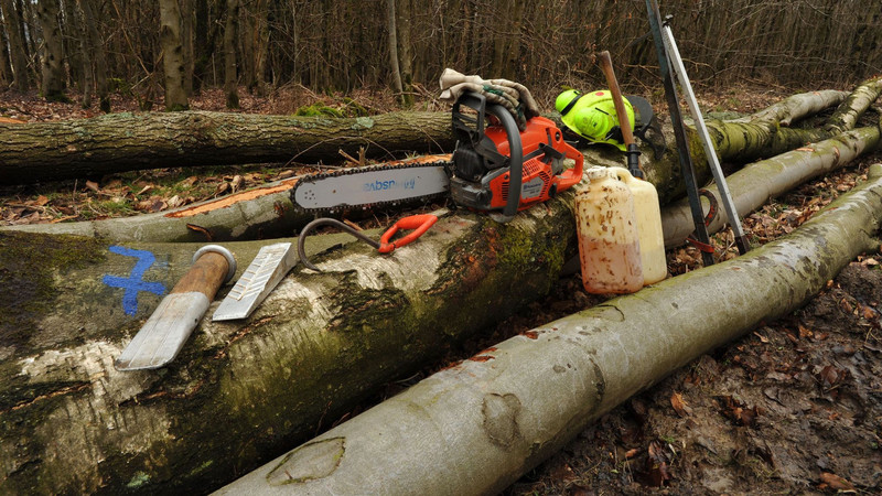 Waldarbeitswerkzeug zur Brennholzaufarbeitung
