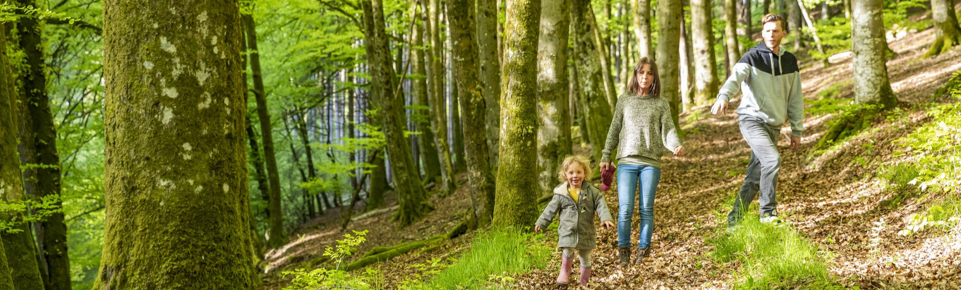 Familie Familie mit kleinem Kind im Frühlingswald