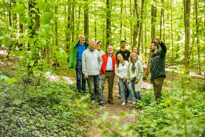Gruppe von Erwachsenen mit einem Förster bei einer Führung im Wald
