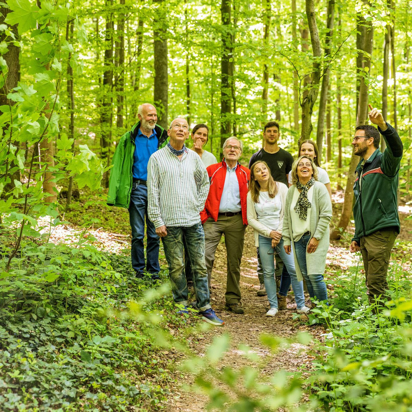 Gruppe von Erwachsenen mit einem Förster bei einer Führung im Wald