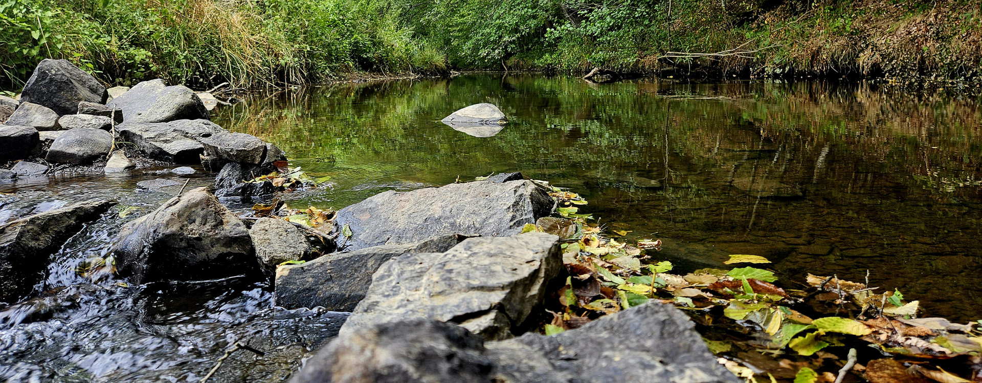die Elz bei Bermel im Sommer 2026 - niedriger Wasserstand
