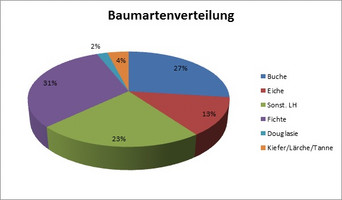 Das Bild zeigt: Diagramm BA FR Dierdorf-Maischeid (27% Buche, 13% Eiche, 23% sonstiges Laubholz, 31% Fichte, 2% Douglasie, 4% sonstige Nadelhölzer)