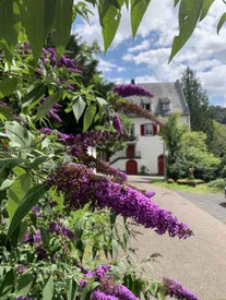 Das Bild zeigt das Forstamtsgebäude Lahnstein